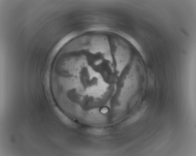 X0000115071245200911101256