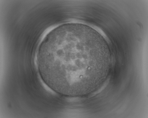 X0000115071247200911101256