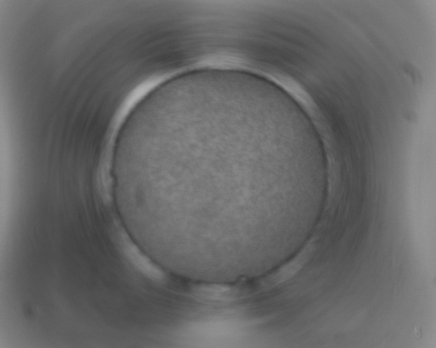 X0000115071248200911101256