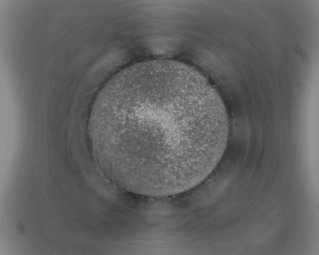 X0000115071249200911101255