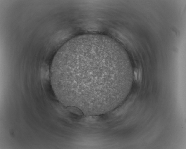 X0000115071251200911101255