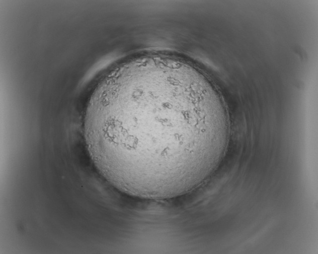 X0000115071255200911101255