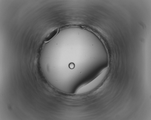 X0000115071257200911101255