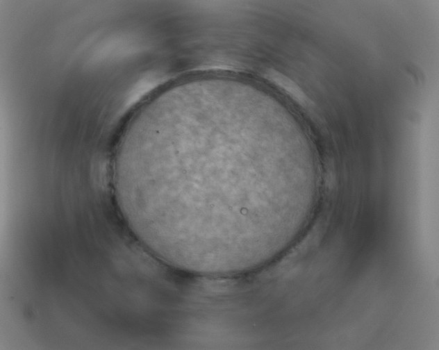 X0000115071258200911101255