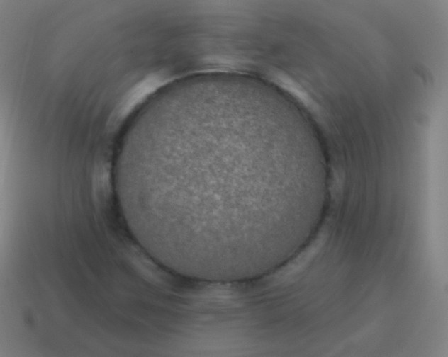 X0000115071259200911101255
