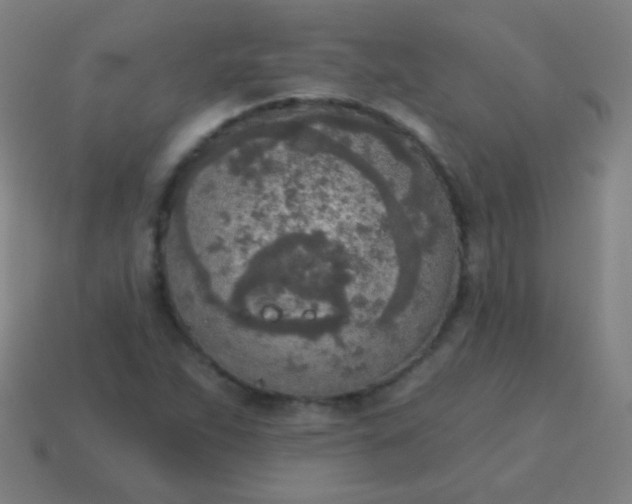 X0000115071263200911101255