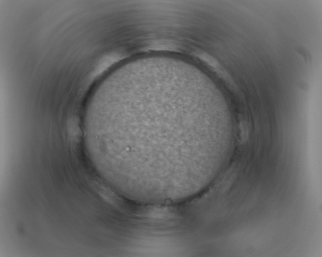 X0000115071266200911101255