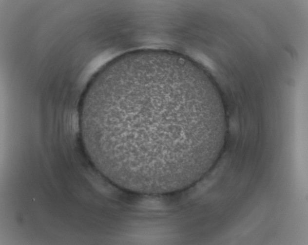 X0000115071267200911101255