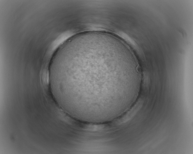 X0000115071269200911101255
