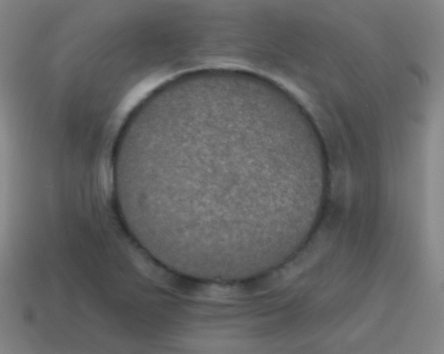 X0000115071271200911101255