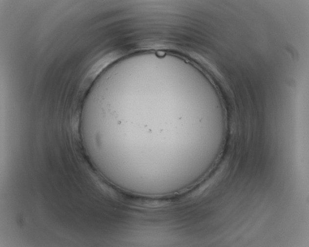 X0000115071273200911101255