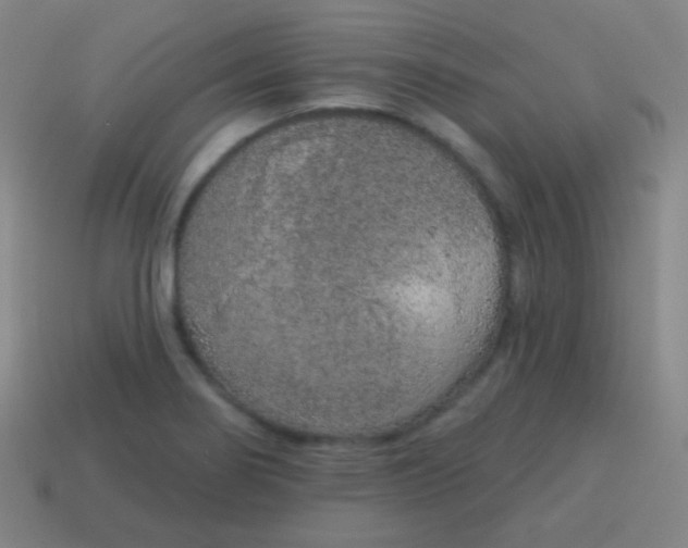 X0000115071274200911101255