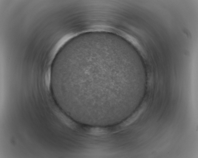 X0000115071275200911101255