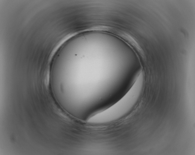 X0000115071276200911101255