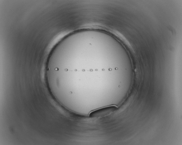 X0000115071277200911101255