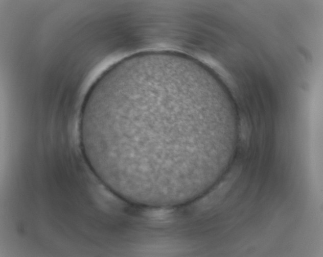 X0000115071278200911101255
