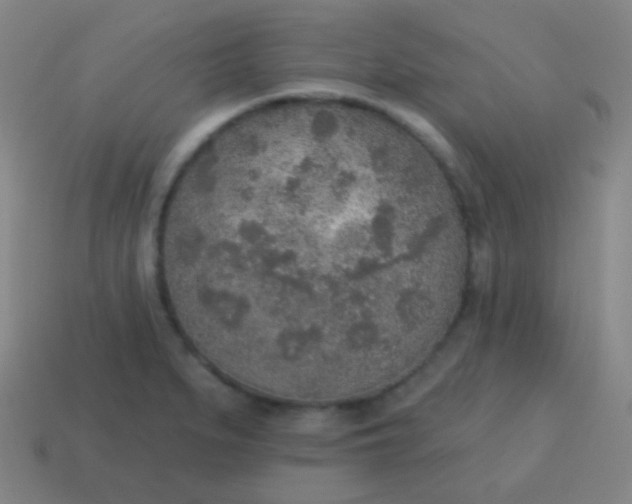 X0000115071279200911101255