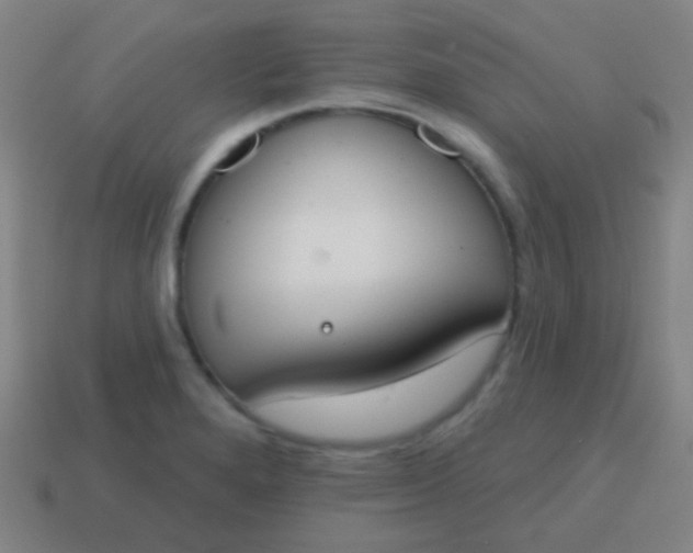 X0000115071280200911101255