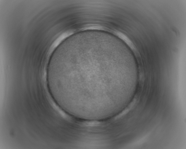 X0000115071282200911101255