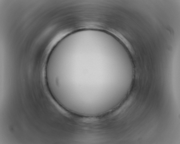 X0000115071285200911101255