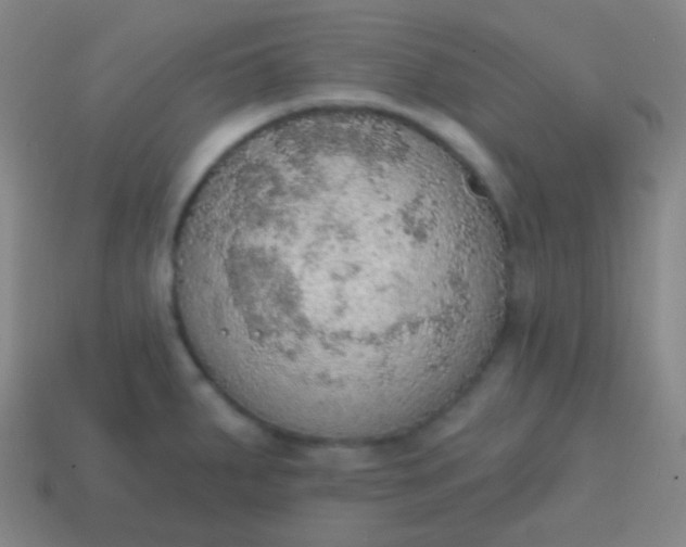 X0000115071287200911101255