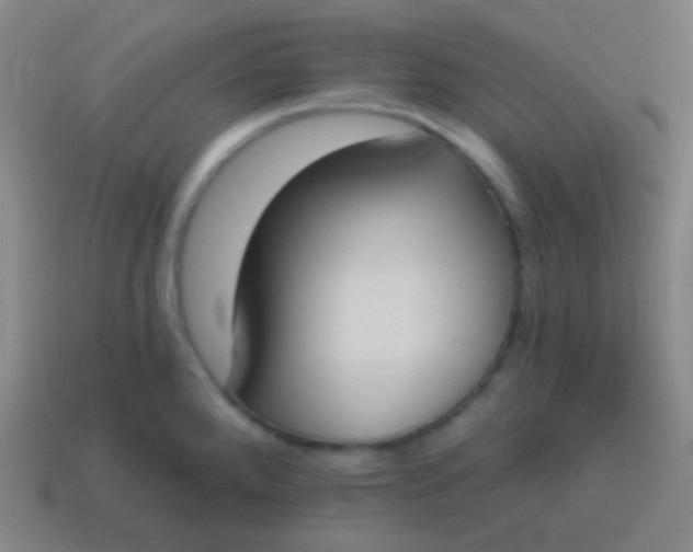 X0000115071288200911101255