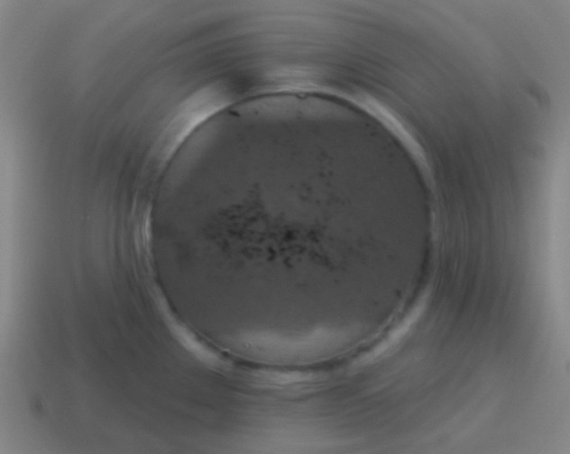 X0000115071289200911101255