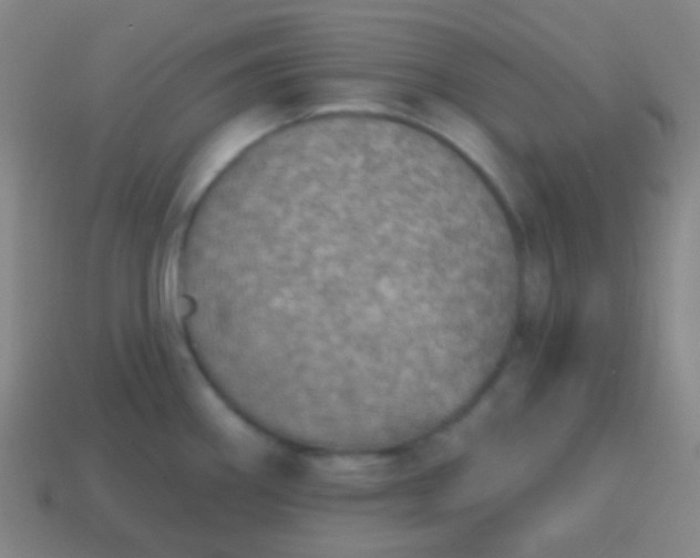 X0000115071290200911101255