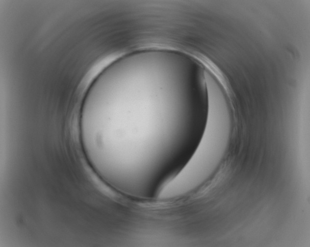 X0000115071293200911101255