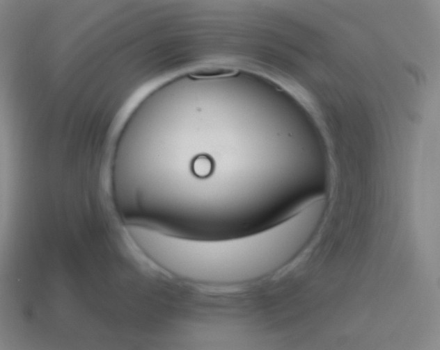 X0000115071296200911101255