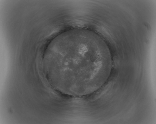 X0000115071297200911101254