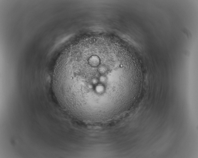 X0000115071302200911101254