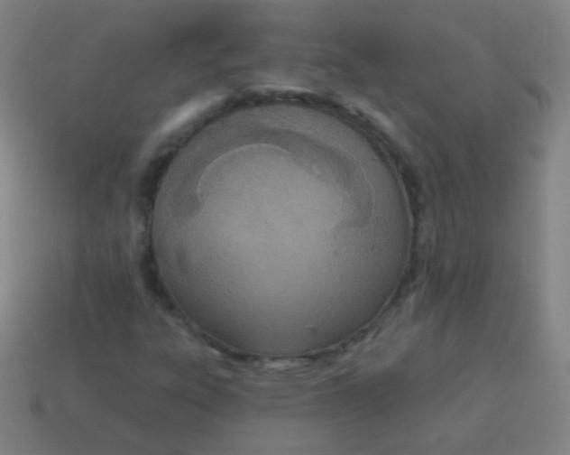X0000115071303200911101254