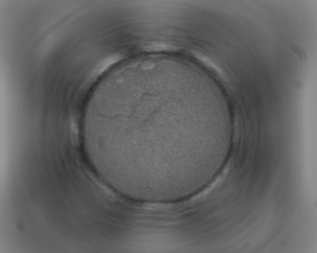 X0000115071305200911101254