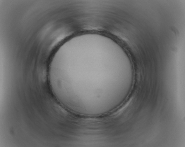 X0000115071306200911101254