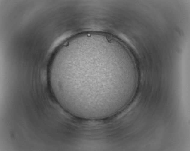 X0000115071307200911101254