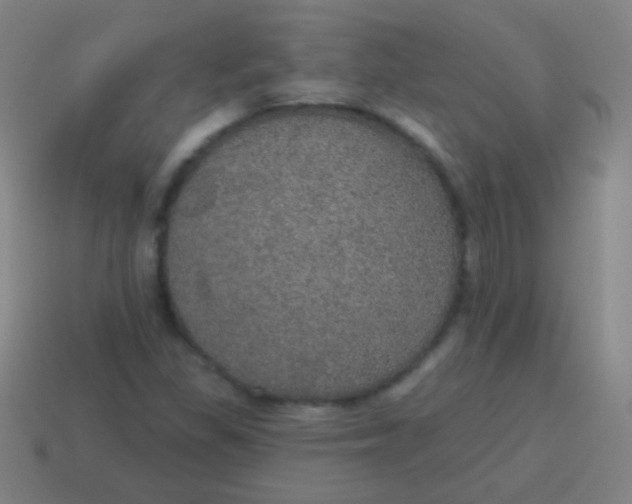 X0000115071309200911101254