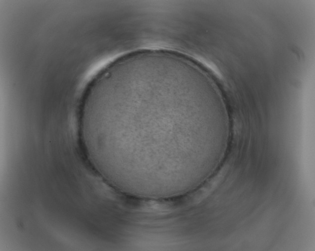 X0000115071311200911101254