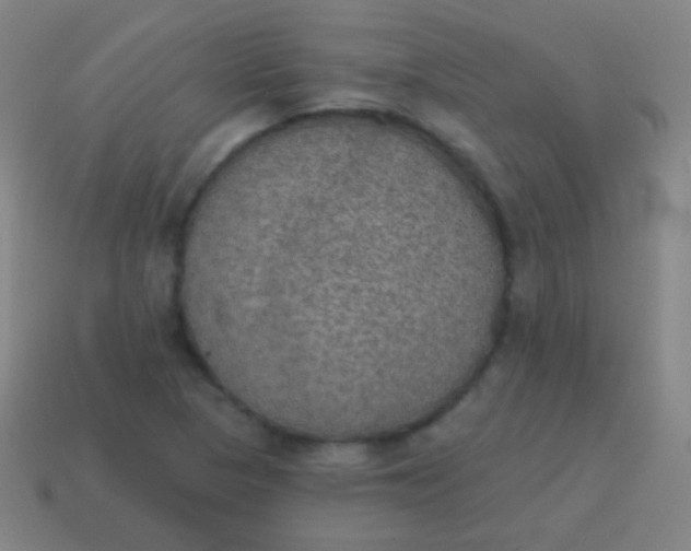 X0000115071313200911101254