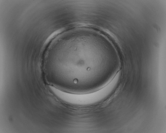X0000115071314200911101254