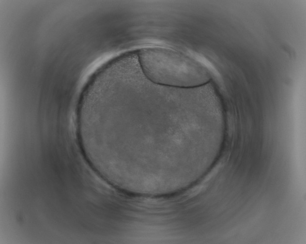 X0000115071318200911101254