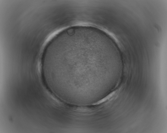 X0000115071319200911101254