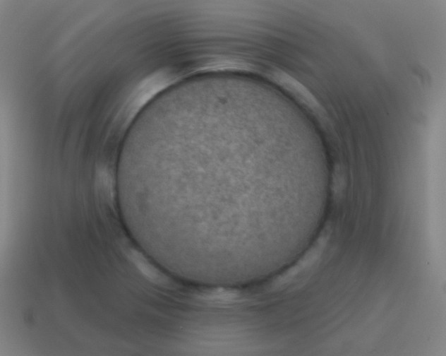 X0000115071321200911101254