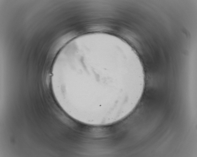 X0000115071322200911101254