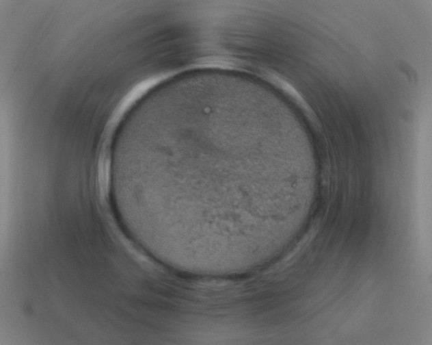 X0000115071323200911101254