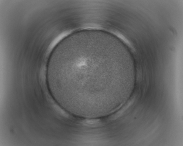X0000115071325200911101255