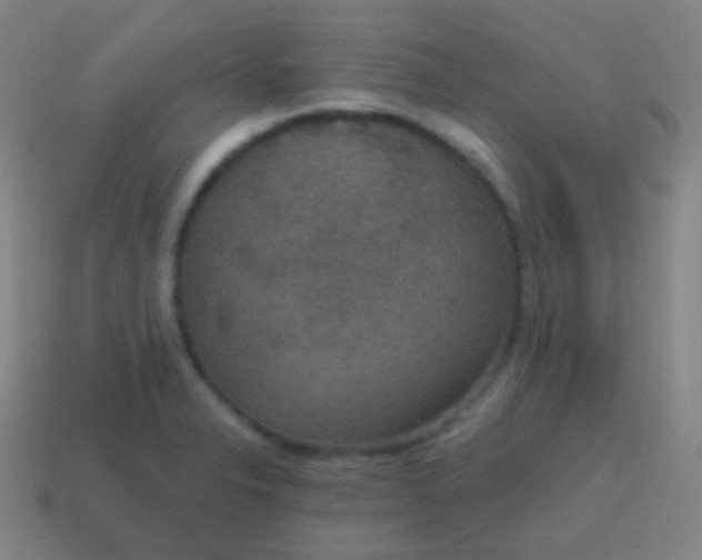 X0000115071326200911101255