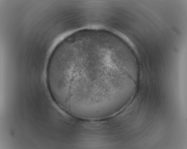 X0000115071327200911101255