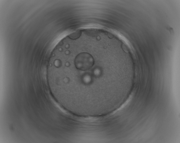X0000115071329200911101255