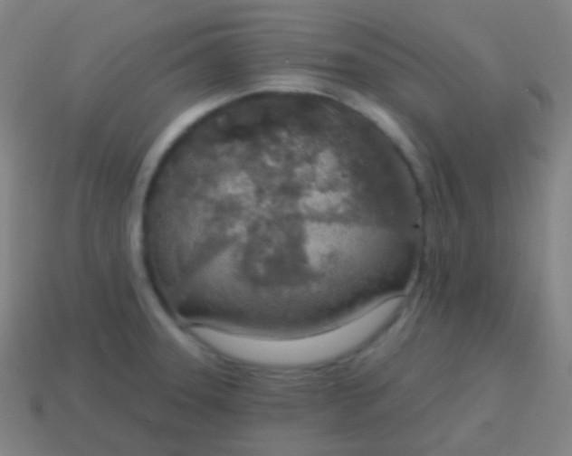 X0000115071331200911101255